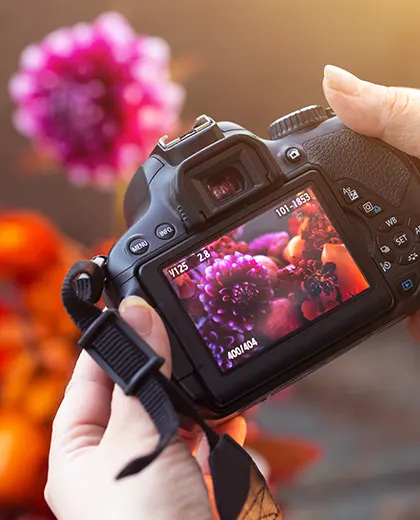 Mastering natural light